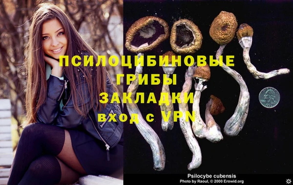 а пвп мука Бронницы