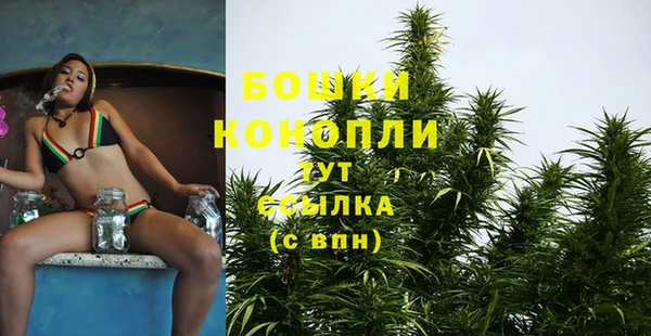 мескалин Бородино