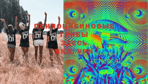 мескалин Бородино